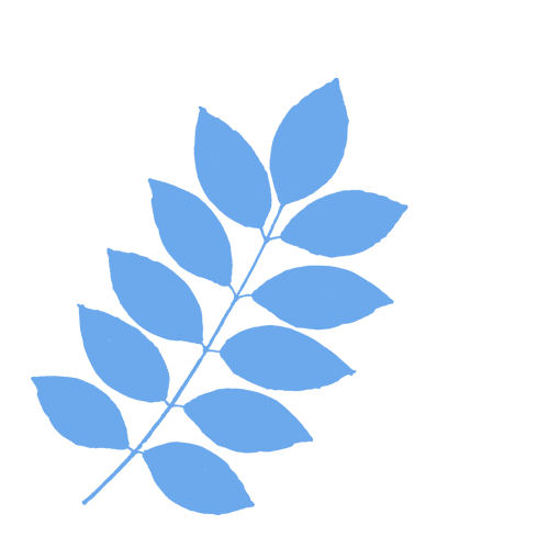 岳阳楼区检察官进湖南海纳技工学校：青春不越界，法律记心间